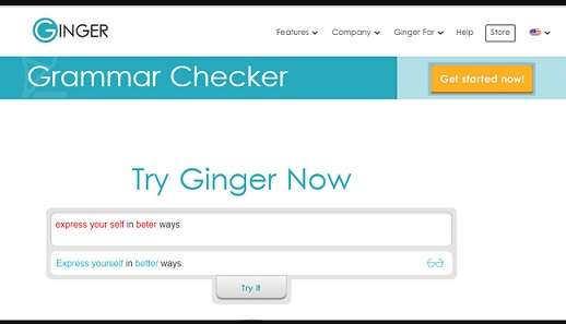 Ginger Grammar Checker