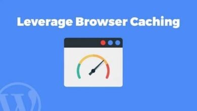 Overcome Leverage Browser Caching In WordPress