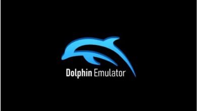 Dolphin Emulator