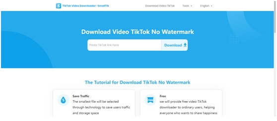 Take the TikTok watermark off with SmallTik!