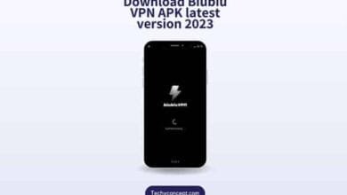 Download Biubiu VPN APK latest version