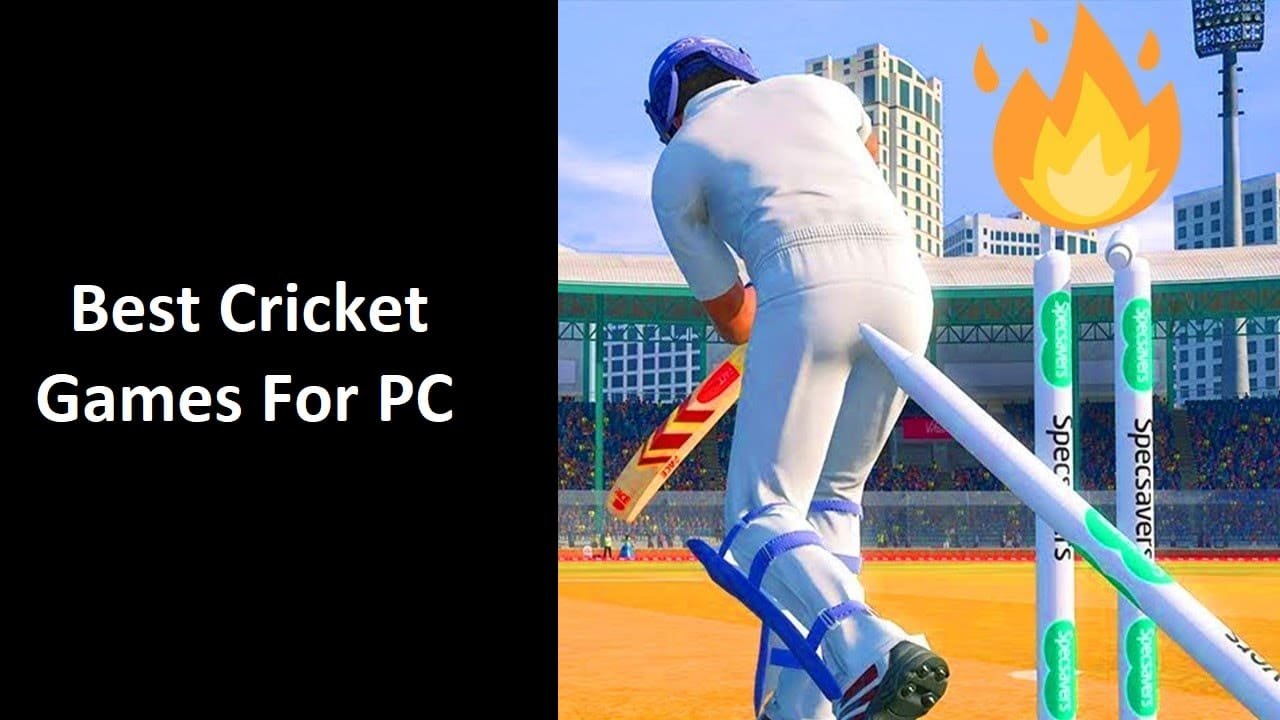 Best Cricket Games for PC