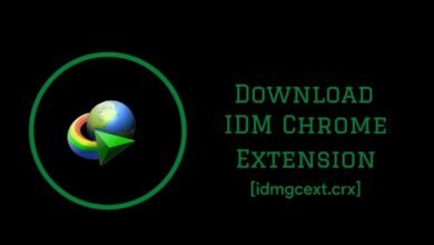 idmgcext.crx - Download IDM Chrome Extension CRX File