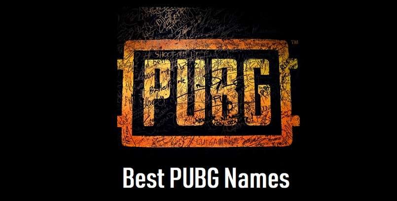 500+ Pubg Funny Name