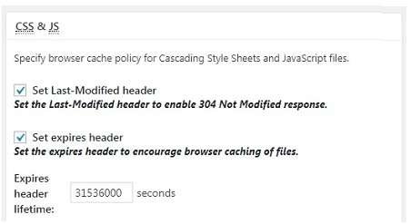 Set CSS and JS Expires Header Lifetime